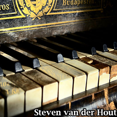Steven van der Hout