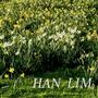 Han Lim