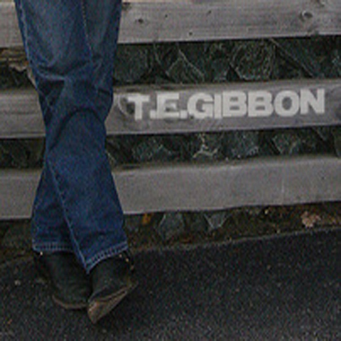 T.E. Gibbon