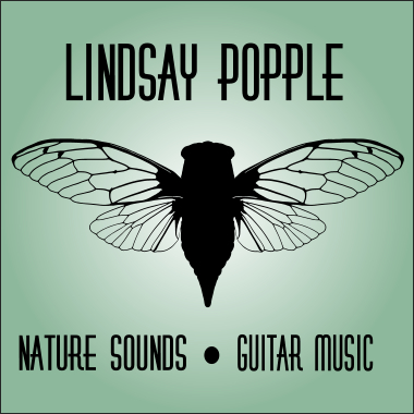 Lindsay Popple