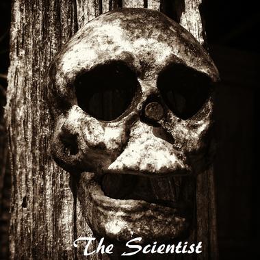 The Scientist