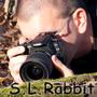 S.L. Rabbit