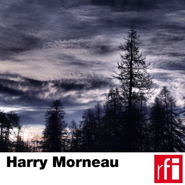 Harry Morneau