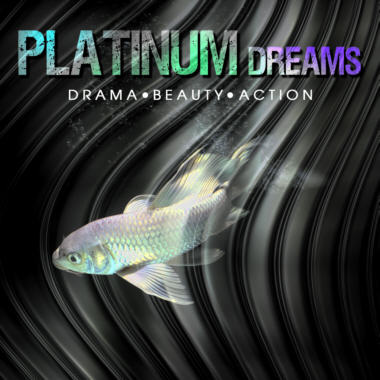 Platinum Dreams