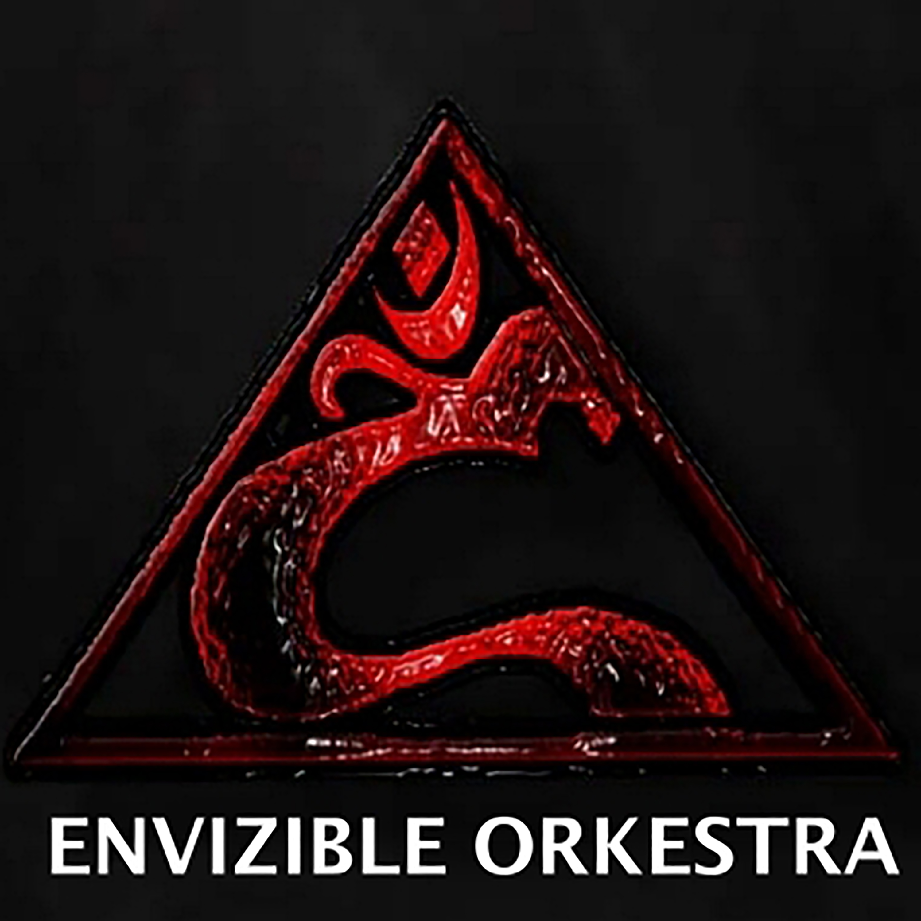 Envizible Orkestra
