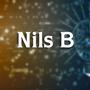 Nils B LP