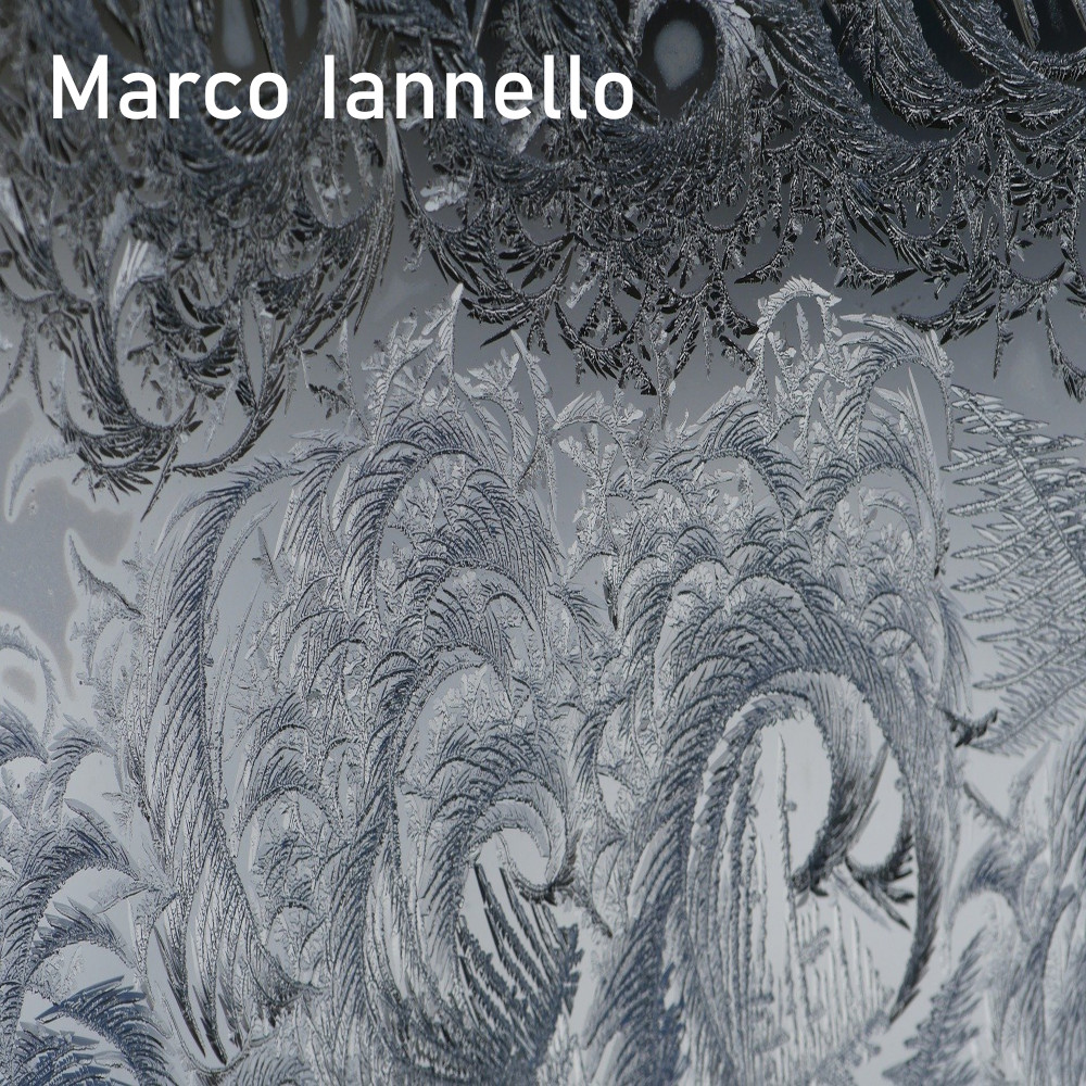 Marco Iannello
