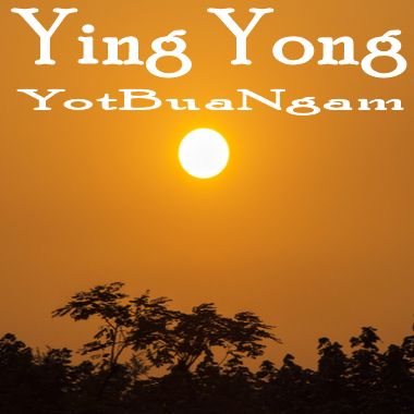 Ying Yong YotBuaNgam