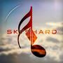 Skyshard