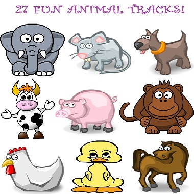Fun Animal Tracks. 27 Great Tracks!