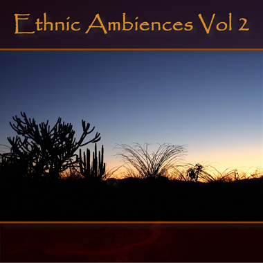 Ethnic Ambiences Vol. 2