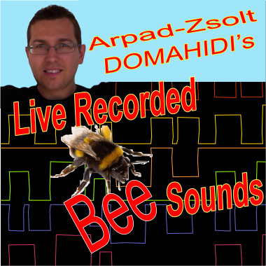 Live Recorded Bee Sounds