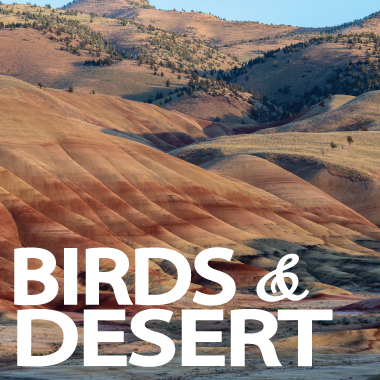 Wild West Birds and Desert